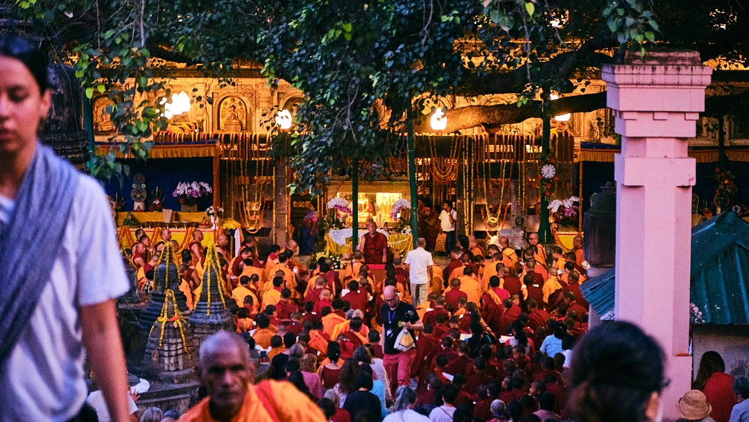 Photography Street Oblivion India Devotion Religion Transcendence Bodhgaya Rinpoche Tree Crowd
