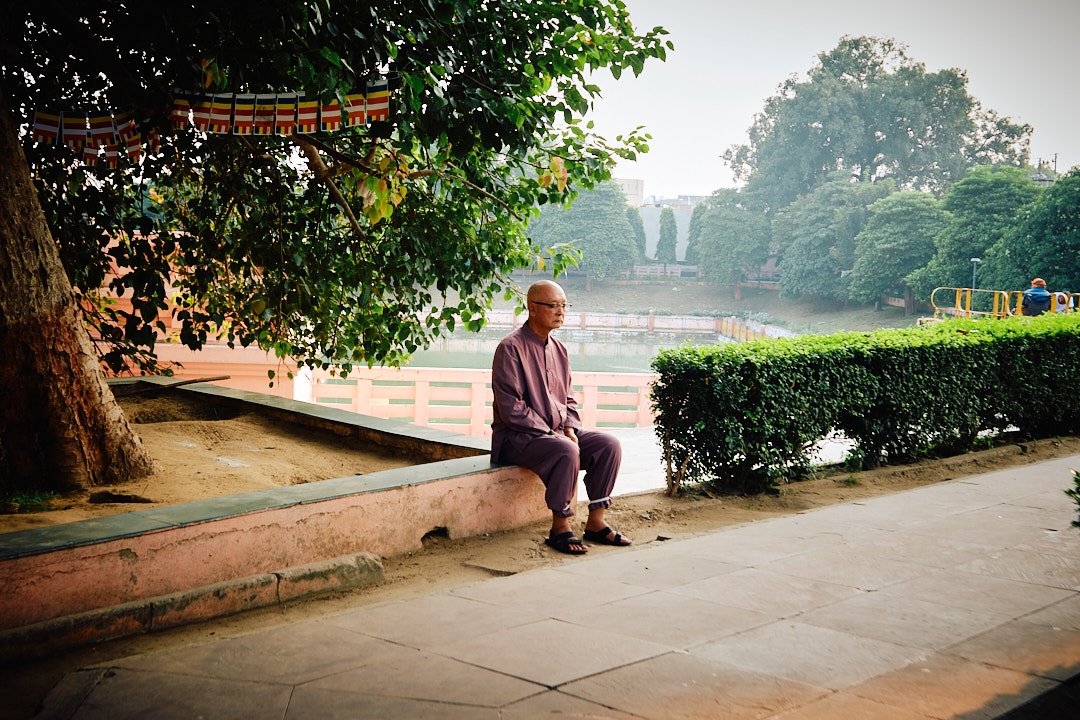 Photography Street Oblivion India Devotion Religion Transcendence Bodhgaya Man Tree Meditation