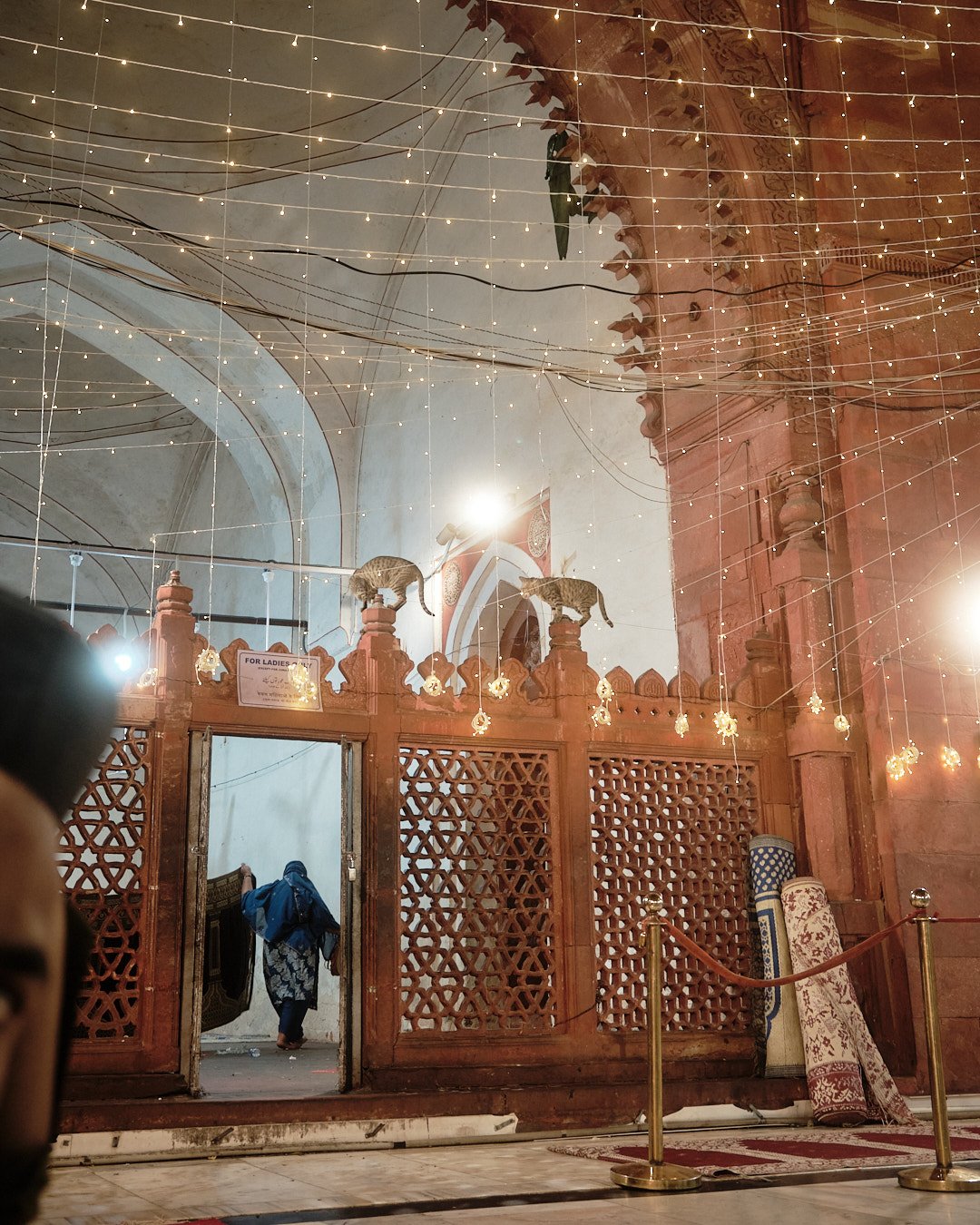 Photography Street Oblivion India Devotion Religion Transcendence Dargah Nizamuddin Cats Delhi