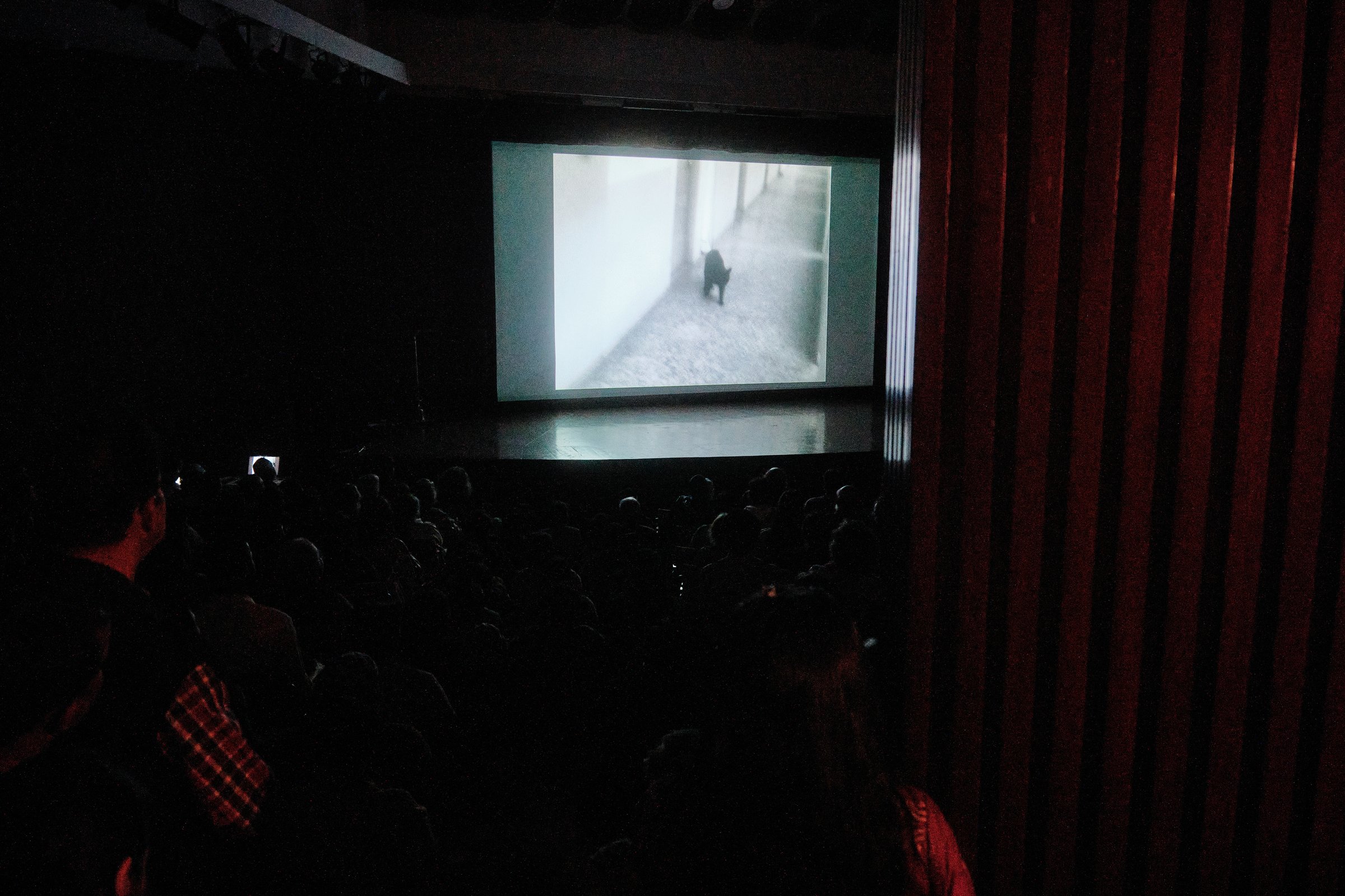 IAWRT Festival — image 4