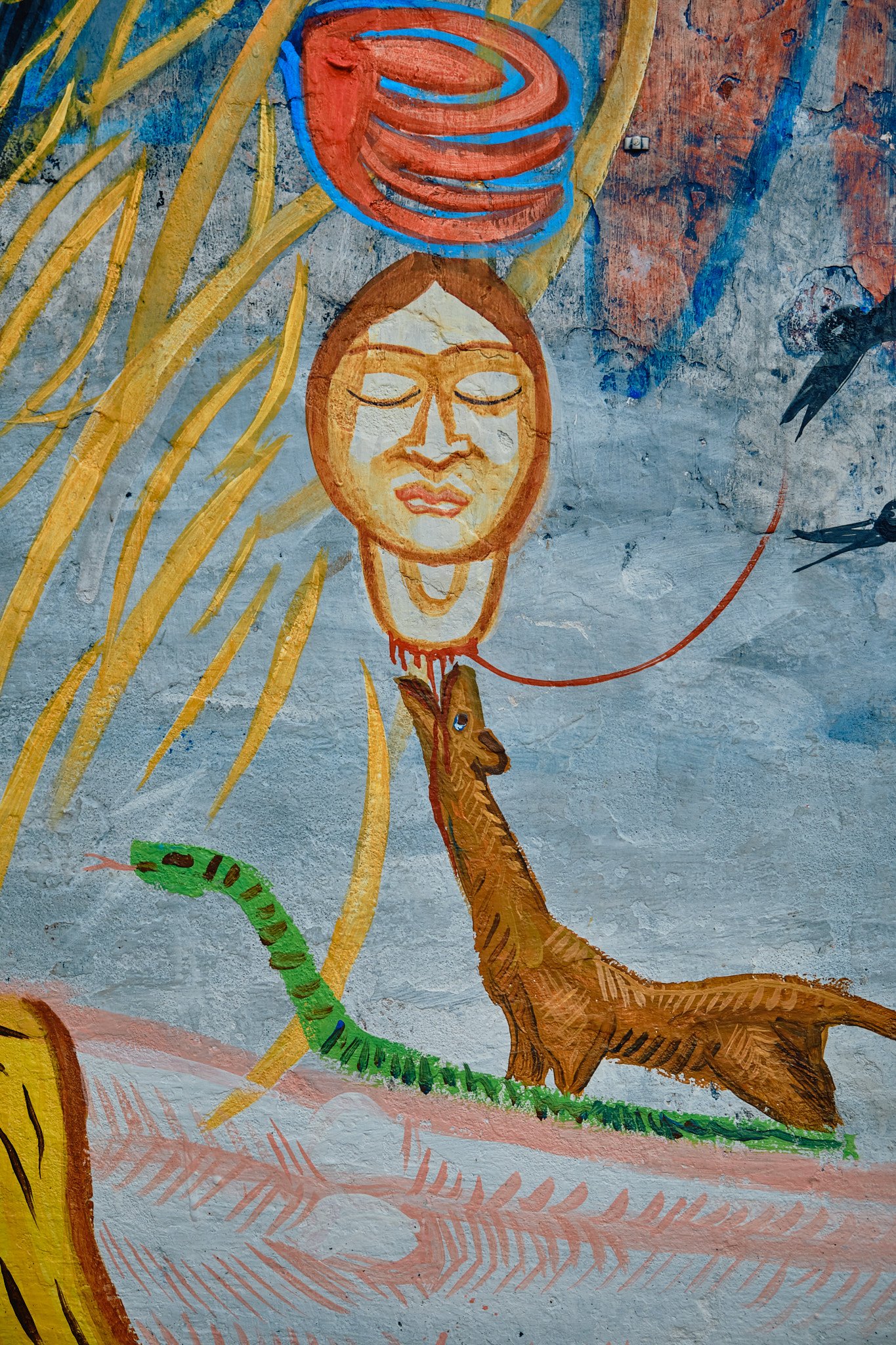 Painting Wall Detail Kali Head Blood Rat Kolkata India Street Documentary BTS