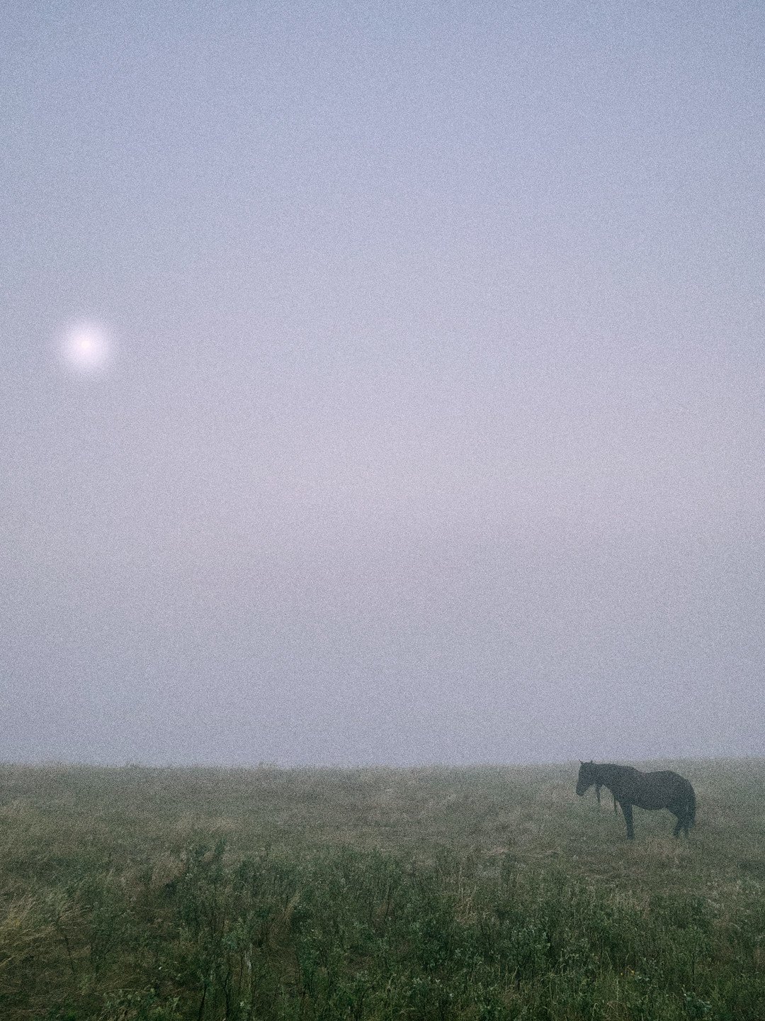 Lakota Nation — image 2