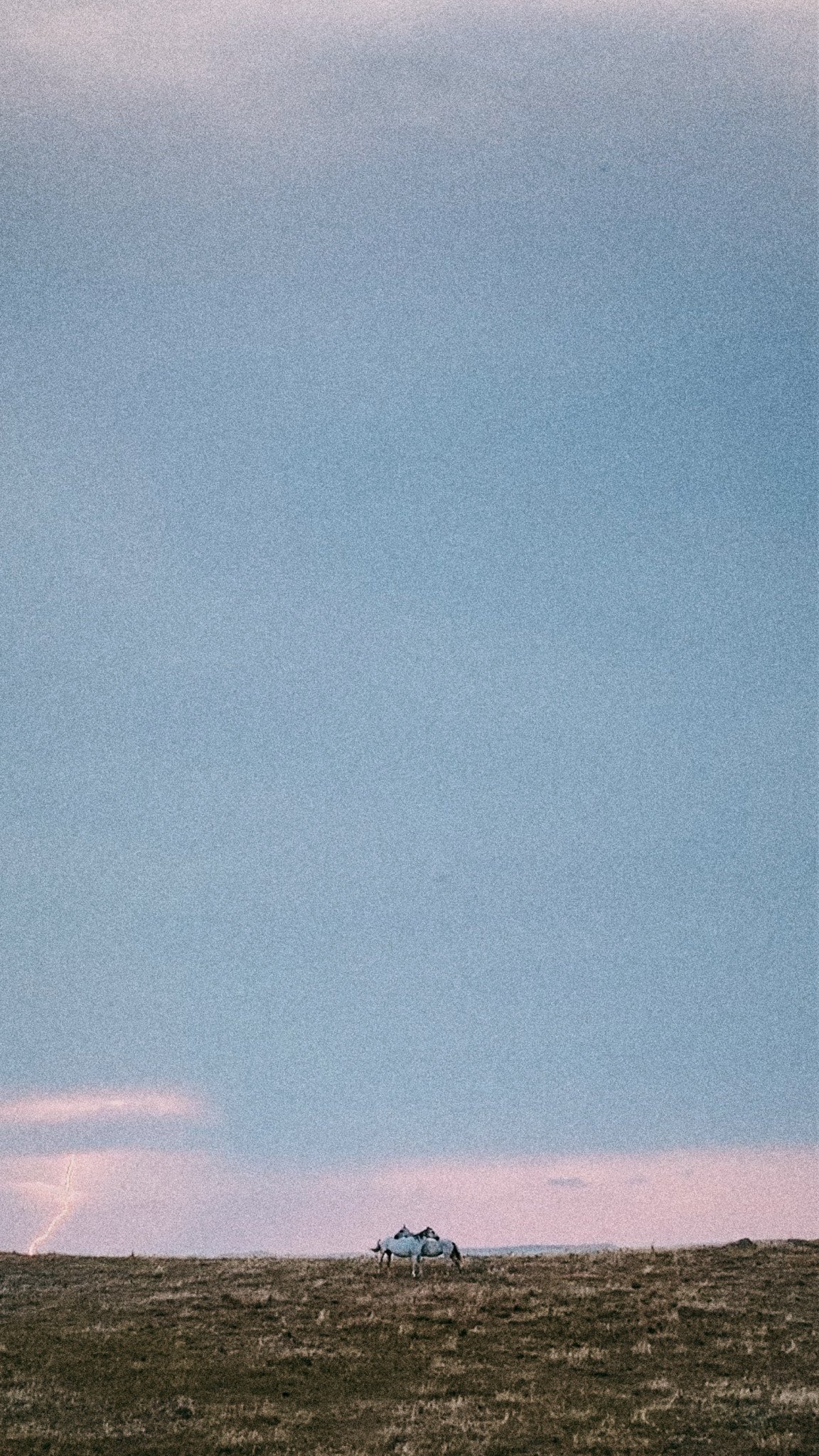 Lakota Nation — image 3