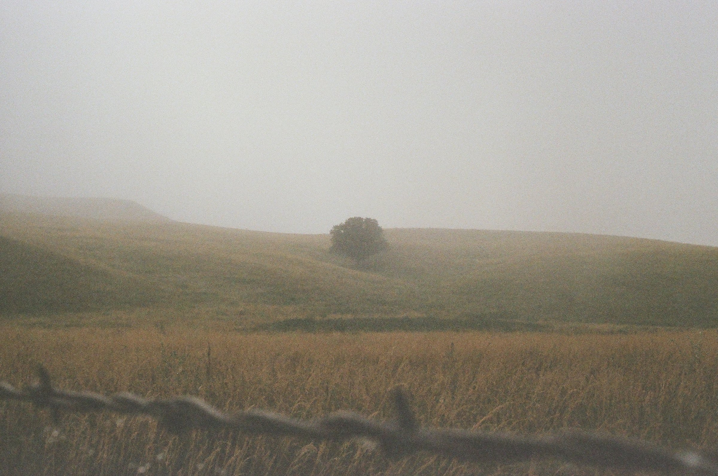 Lakota Nation — image 7