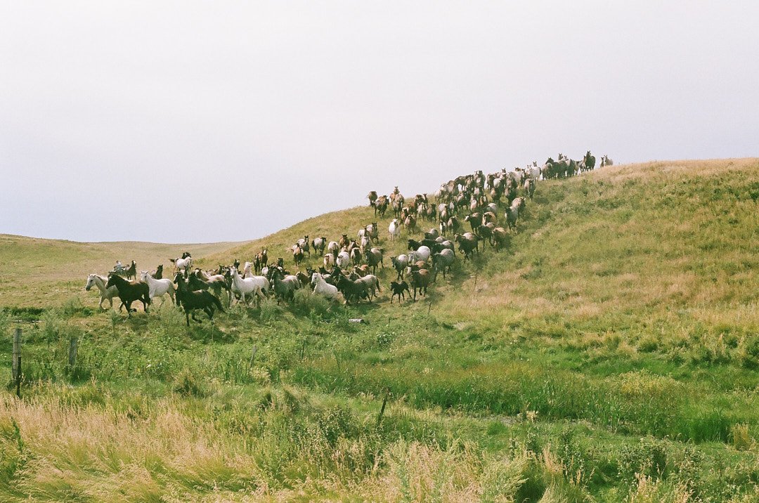 Lakota Nation — image 9