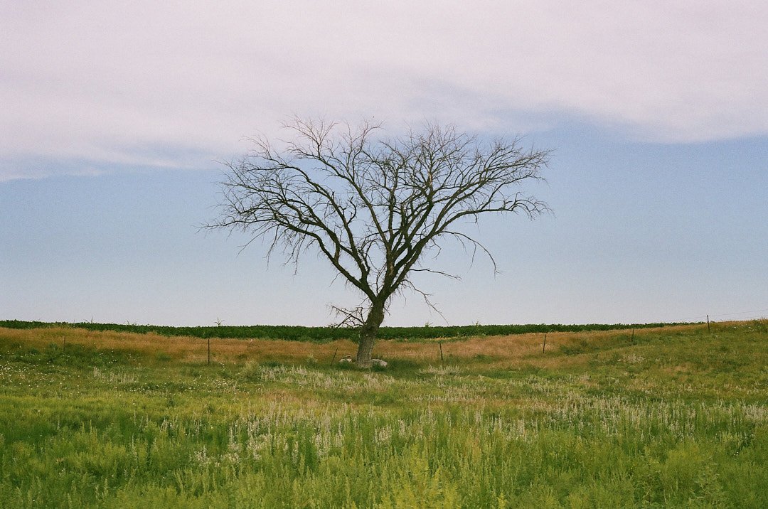 Lakota Nation — image 12
