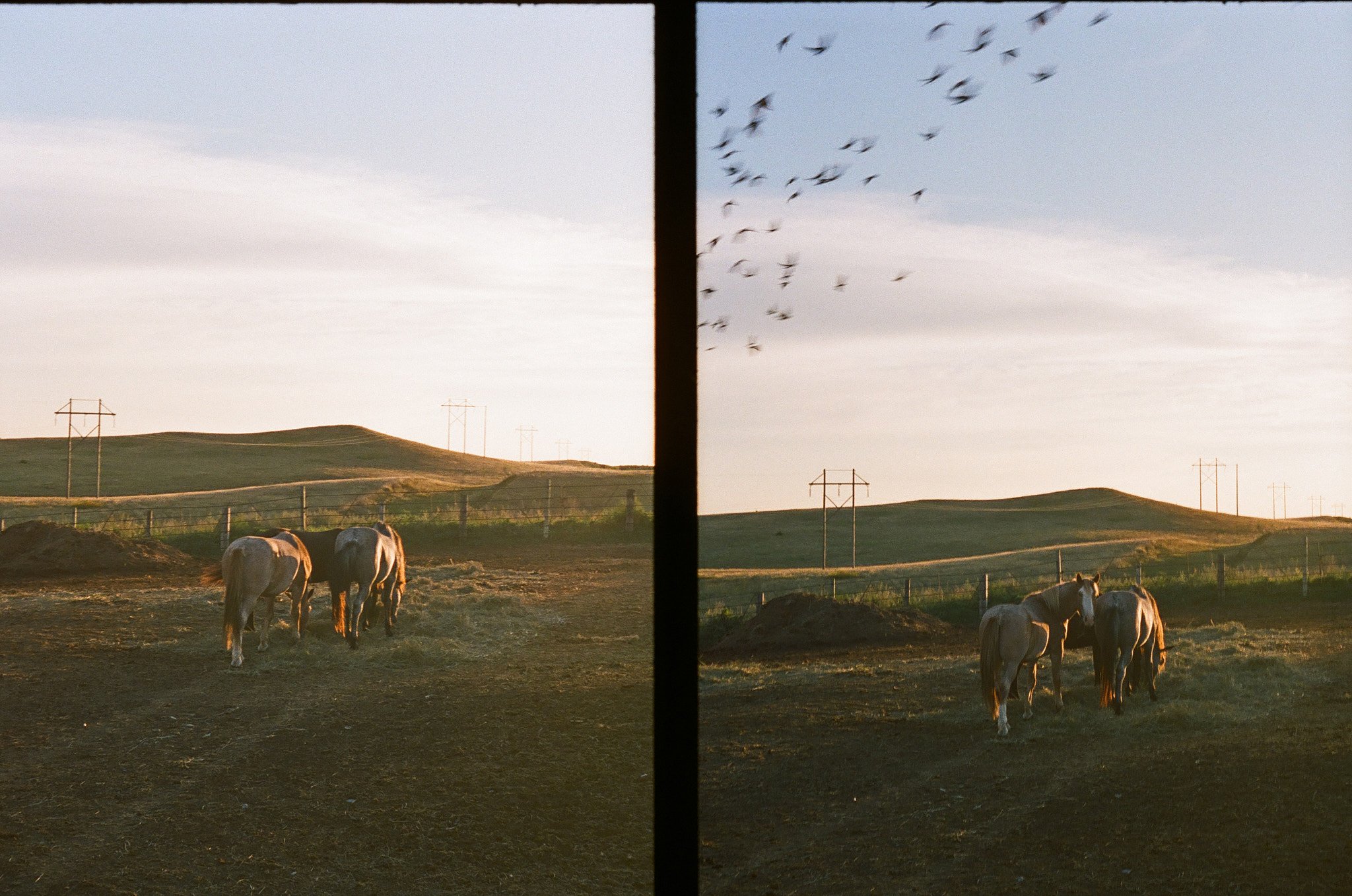 Lakota Nation — image 14