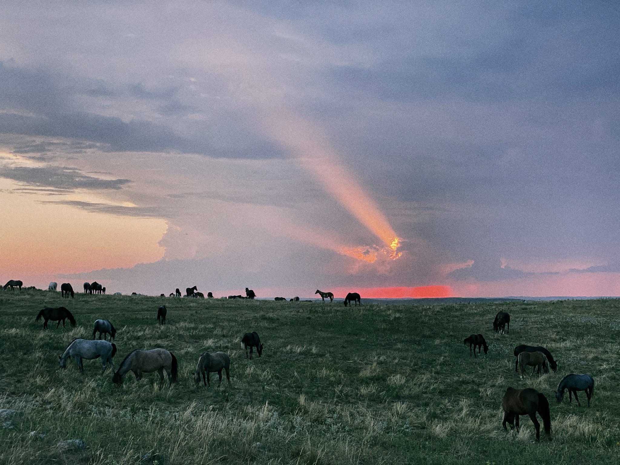 Lakota Nation — image 17