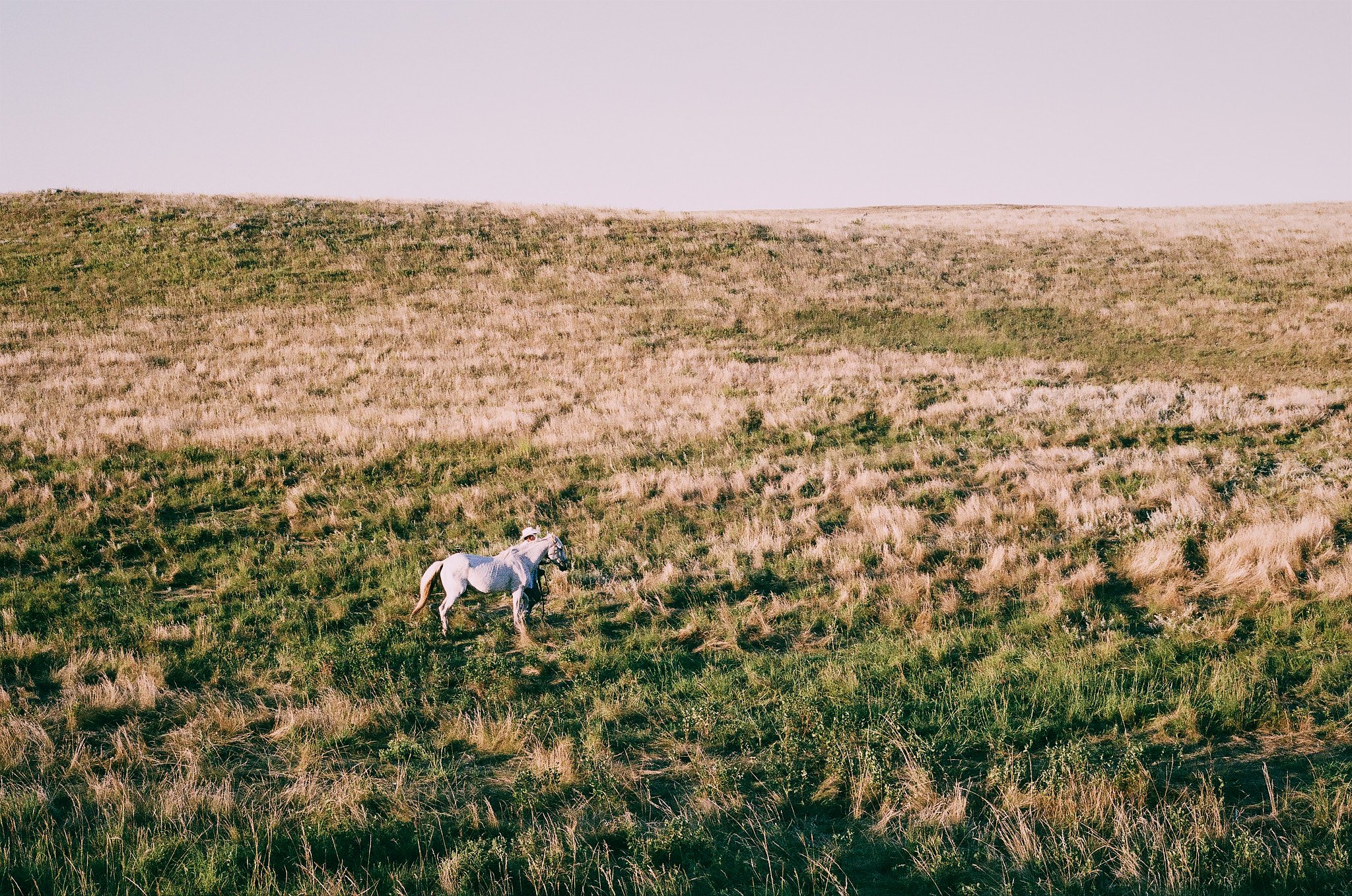 Lakota Nation — image 21