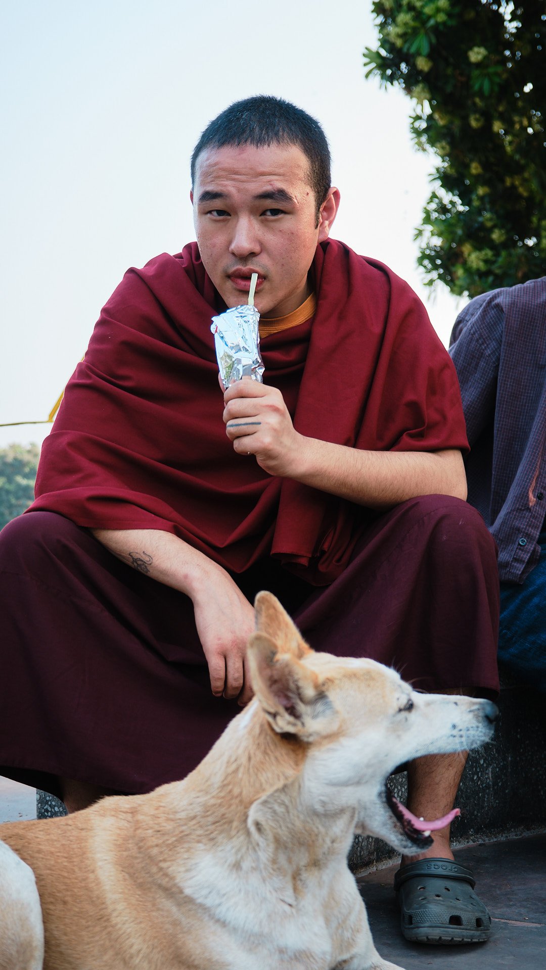 Portraits — image 13